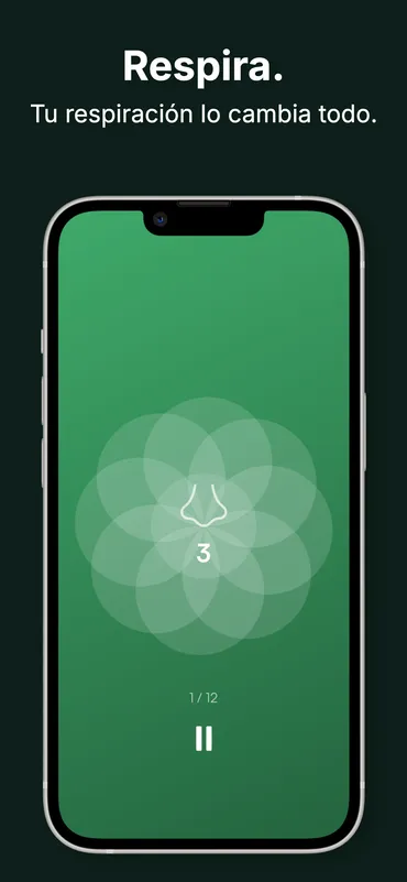 Breathe ejercicio de respiración — círculo animado con contador de ciclos